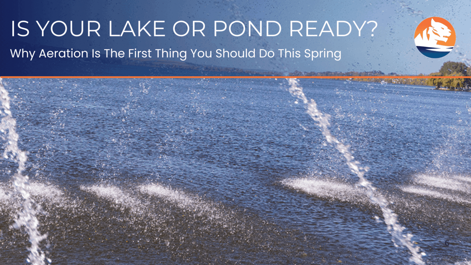 The Importance of Spring Aeration – TIGRIS